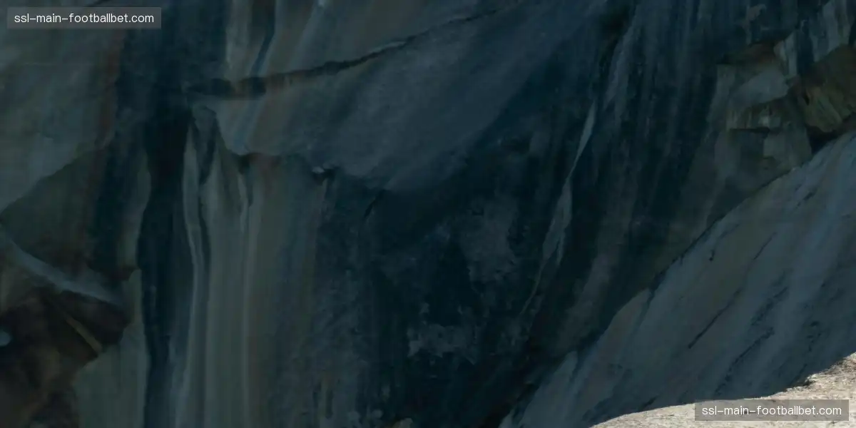 📸 冠军时刻再度闪耀，传奇光芒万丈！✨